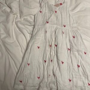 Pink Chicken dress